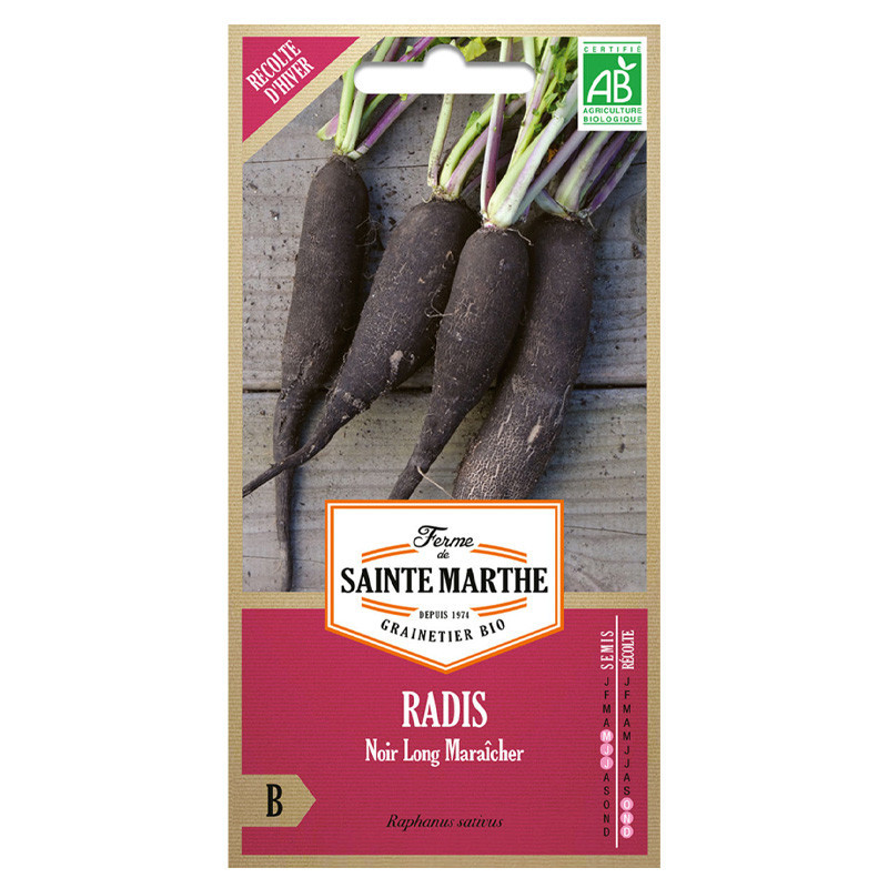 Radis Noir Long Maraicher - 500 graines - AB - La ferme Sainte Marthe