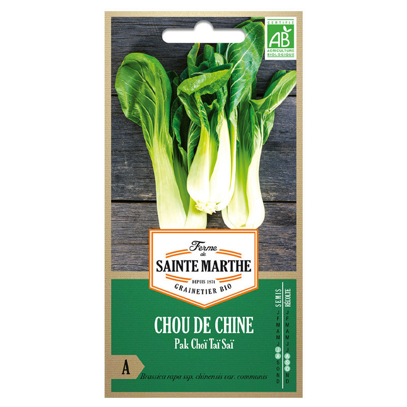 Chou de Chine Pak Choi Tai Sai - 300 graines - AB - La ferme Sainte Marthe