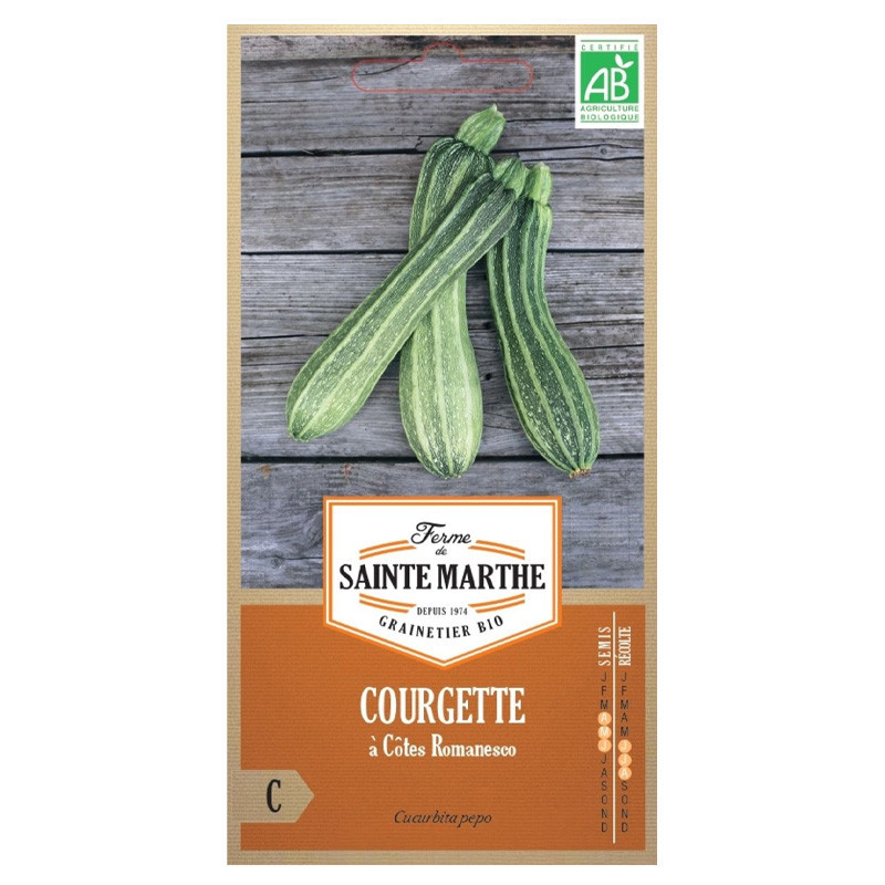 15 GRAINES COURGETTE COSTATES ROMANESCO AB