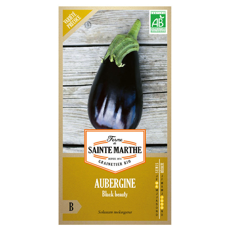 Aubergine Black Beauty - 50 graines - AB - La ferme Sainte Marthe