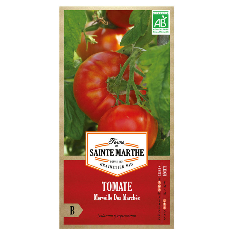 Tomate Merveille des marches - 50 graines - AB - La ferme Sainte Marthe