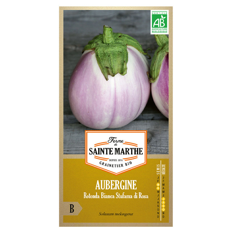 50 GRAINES AUBERGINE ROTONDA BIANCA SFUMATA DI ROSA AB