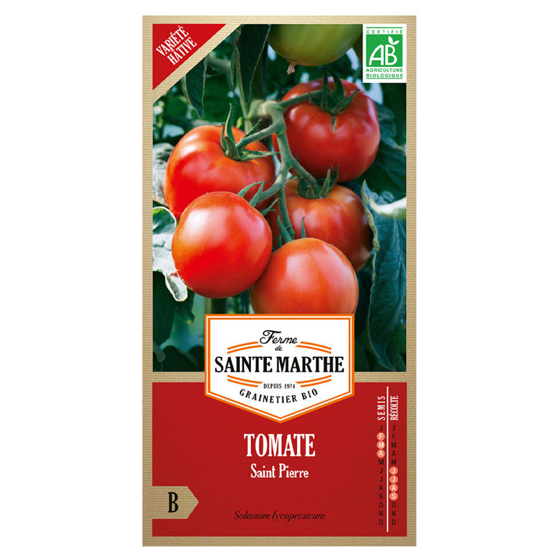 Tomate Saint Pierre - 50 graines - AB - La ferme Sainte Marthe