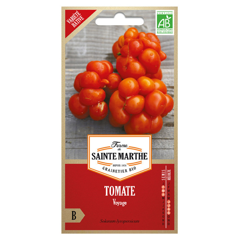 Tomate Voyage - 50 graines - AB - La ferme Sainte Marthe