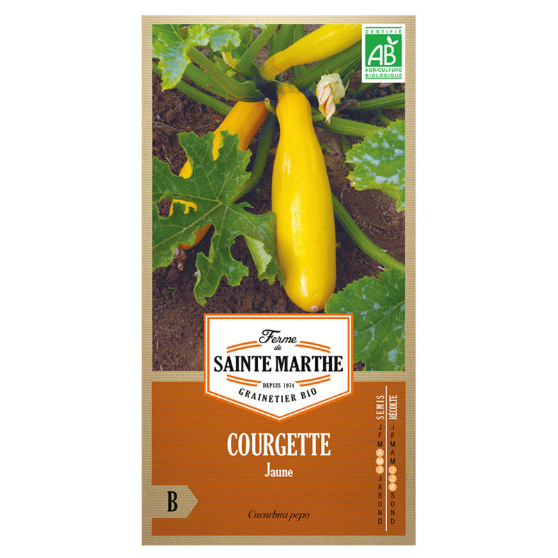 Courgette Jaune - 15 graines - AB - La ferme Sainte Marthe