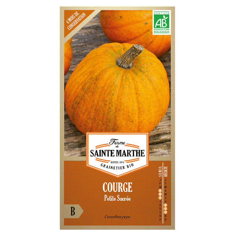 Courge Petite Sucrée - 15 graines - AB - La ferme Sainte Marthe