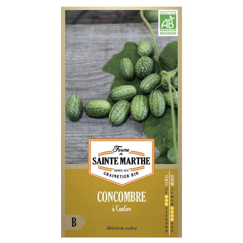 Concombre à Confire - 20 graines - AB - La ferme Sainte Marthe