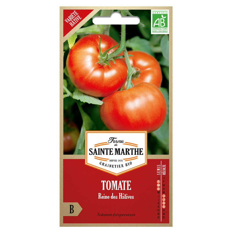 Tomate Reine des Hâtives - 50 seeds - AB - La ferme Sainte Marthe