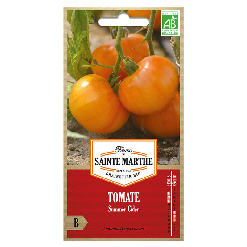 50 GRAINES TOMATE SUMMER CIDER AB