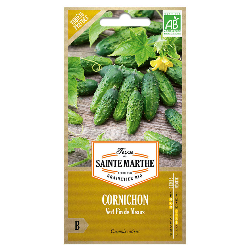 Cornichon Fin de Meaux - 20 graines - AB - La ferme Sainte Marthe