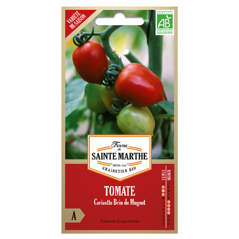 Tomate Cerisette Brin de Muguet - 50 graines - AB - La ferme Sainte Marthe