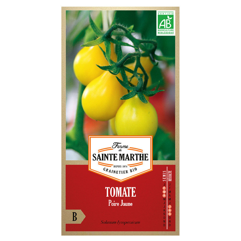 50 GRAINES TOMATE POIRE JAUNE AB