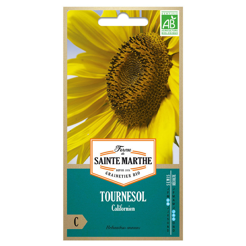 Tournesol Californien - 50 graines - AB - La ferme Sainte Marthe