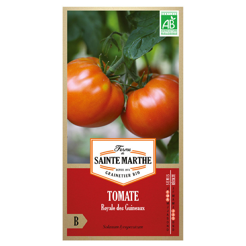 50 GRAINES TOMATE ROYALE DES GUINEAUX AB