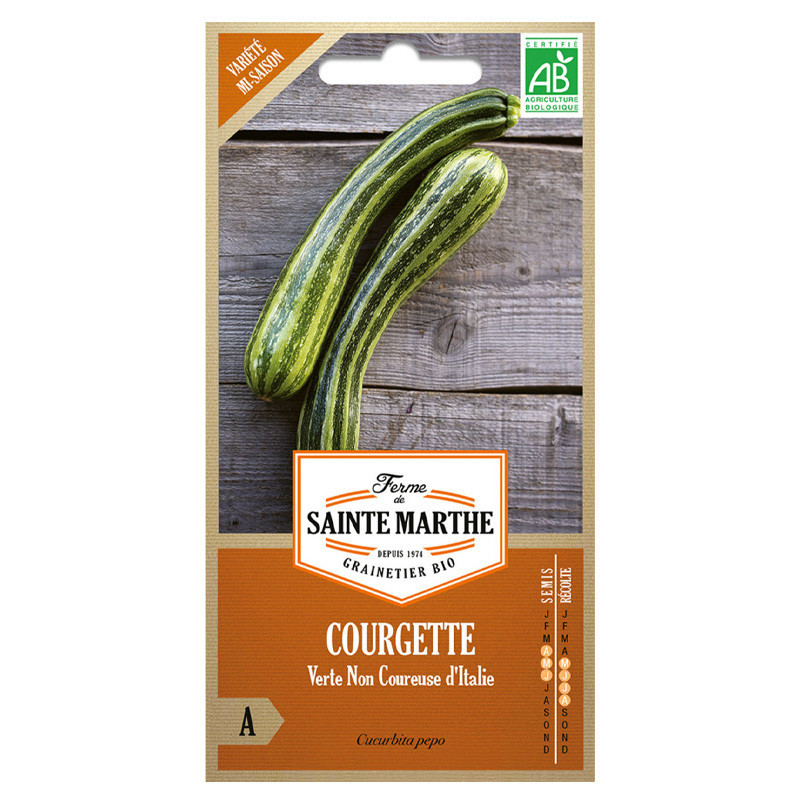 15 GRAINES COURGETTE VERTE NON COUREUSE D´ITALIE AB