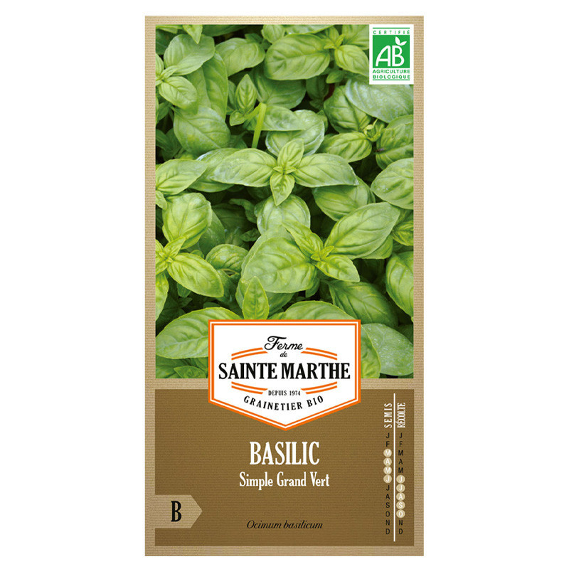 Basilic Simple Grand Vert - 200 graines - AB - La ferme Sainte Marthe