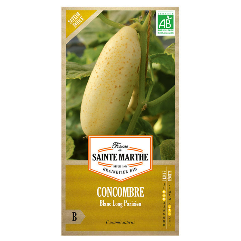 Concombre Blanc Long Parisien - 20 graines - AB - La ferme Sainte Marthe