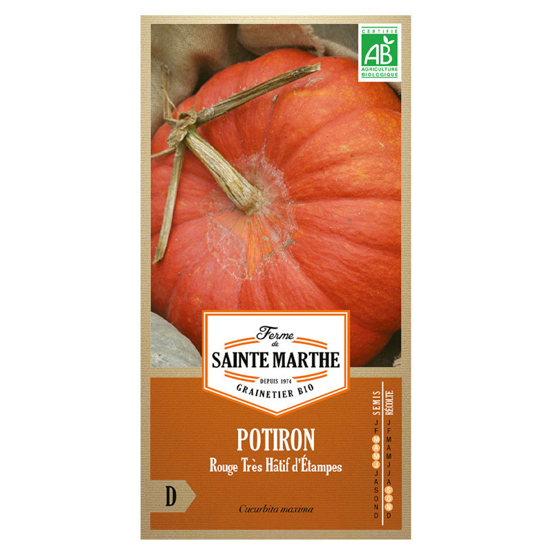 Potiron Rouge Très Hatif d'Etampes - 15 graines - AB - La ferme Sainte Marthe