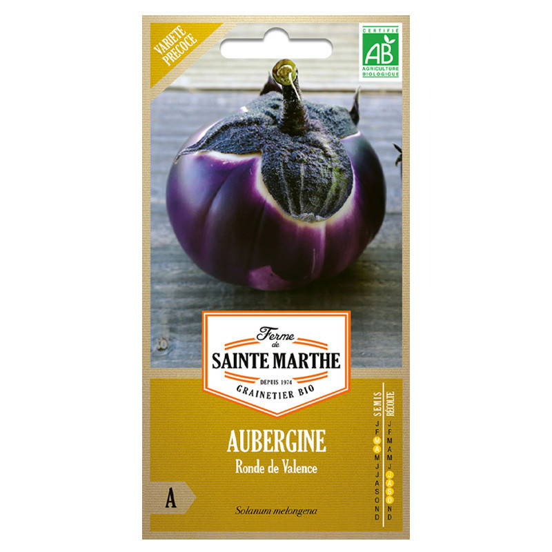 50 GRAINES AUBERGINE RONDE DE VALENCE AB