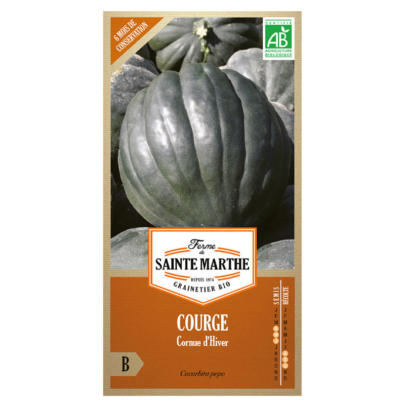 15 GRAINES COURGE D´HIVER OU CORNUE D´HIVER AB