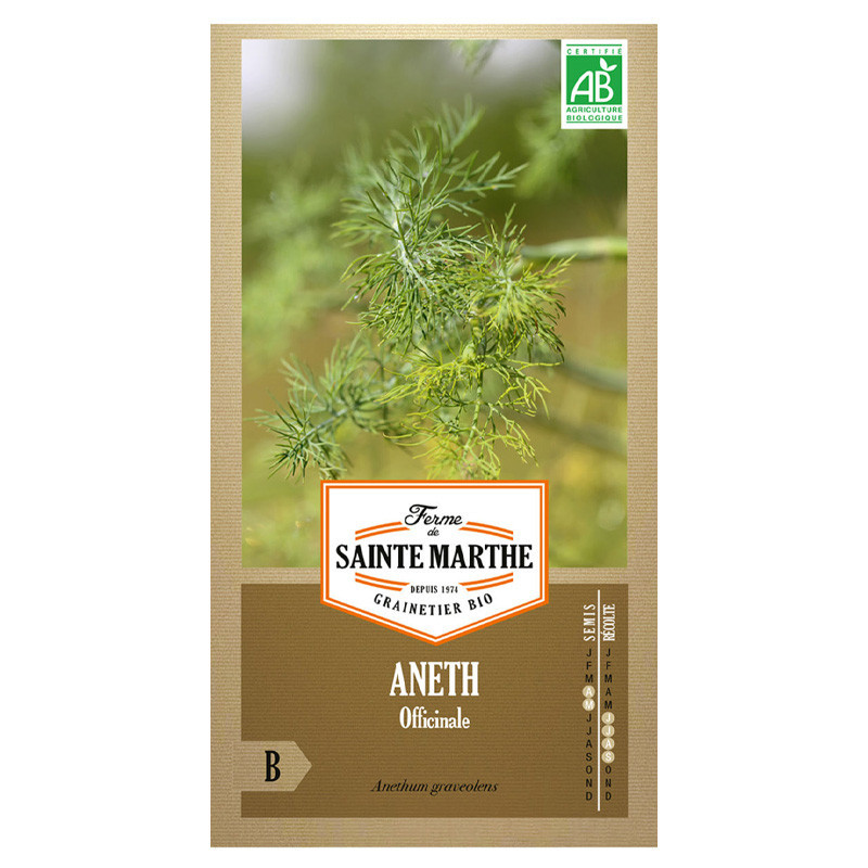 Aneth Officinale - 200 graines - AB - La ferme Sainte Marthe