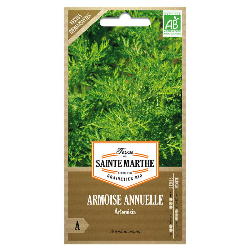 Armoise Annuelle Artemisia - 1000 graines - AB - La ferme Sainte Marthe