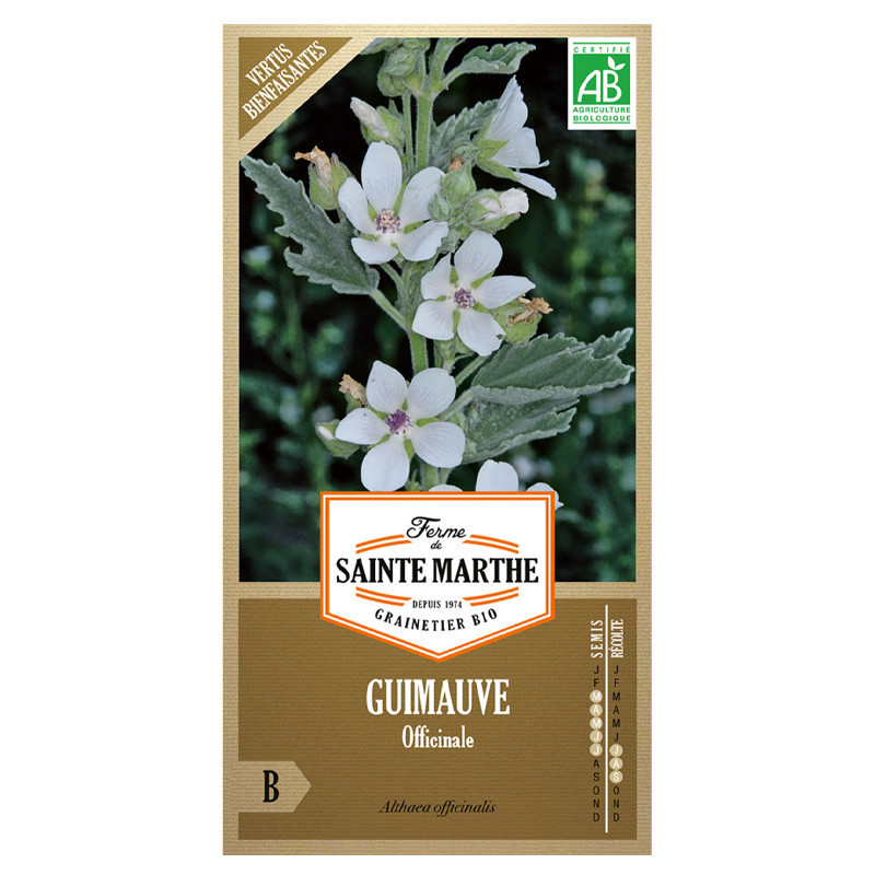 Guimauve Officinale - 1000 graines - AB - La ferme Sainte Marthe