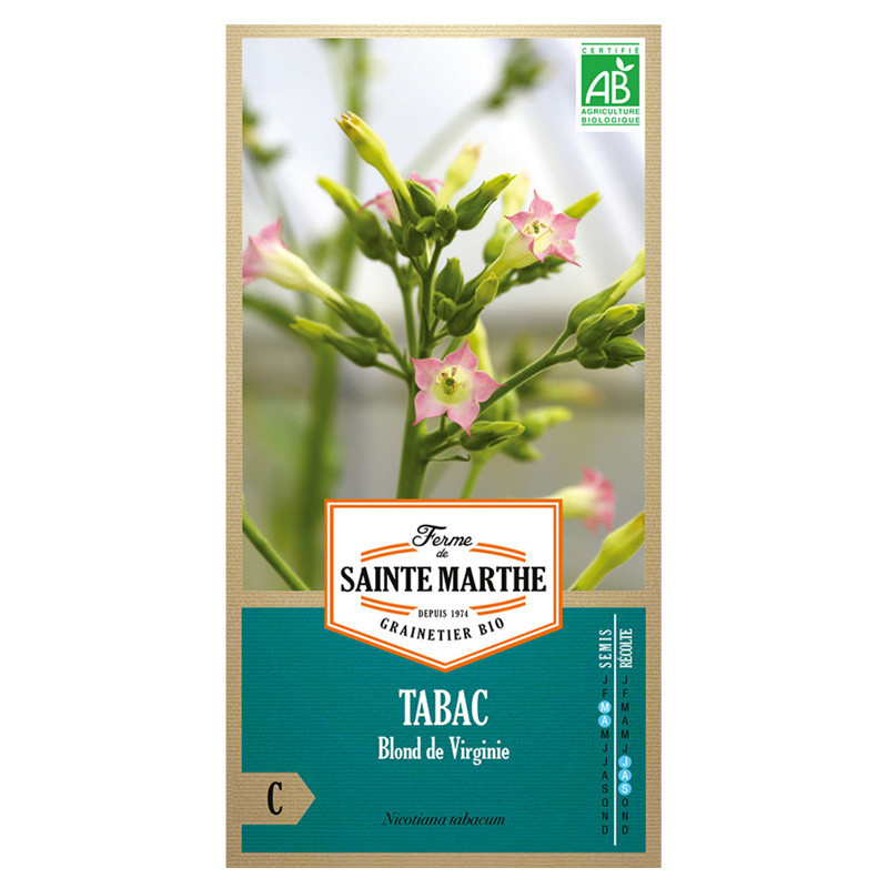 Tabac Blond de Virginie - 1000 graines - AB - La ferme Sainte Marthe