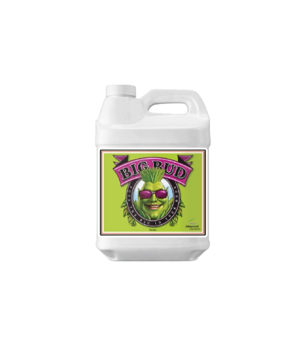 Big Bud - Bloesem booster - 250 ml Advanced Nutrients