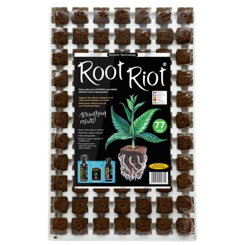 Sprouting cubes in tray - Cutting - Root Riot - 77 pcs - Growth Technology 