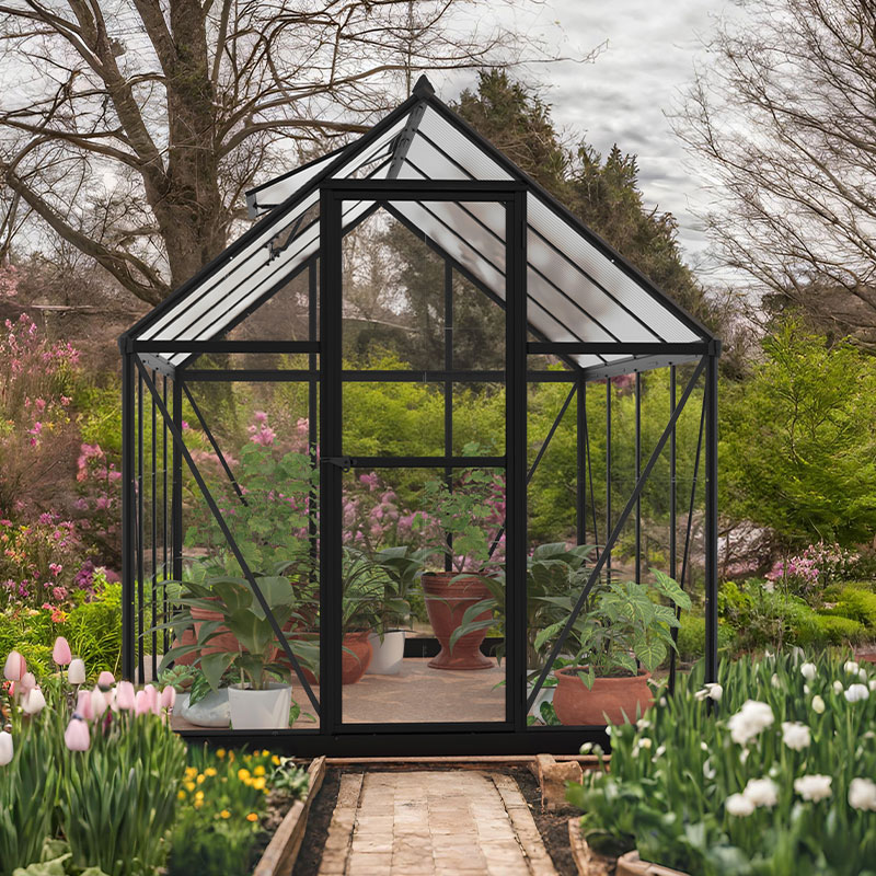 Hybrid - Edition 185x247cm - Black greenhouse - Canopia