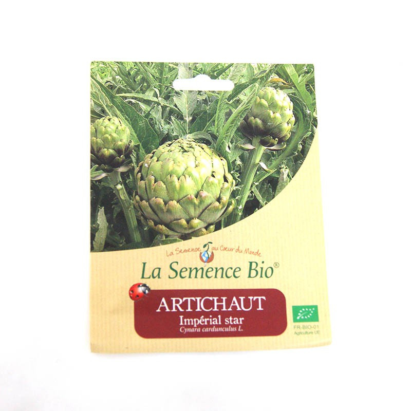 Sementes orgânicas - Imperial Star Artichoke (10 sementes)