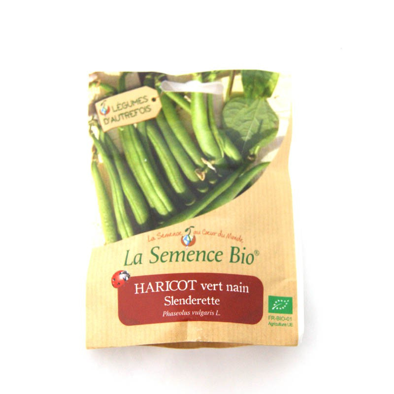 Organic Seeds - Haricot Vert Nain Slenderette