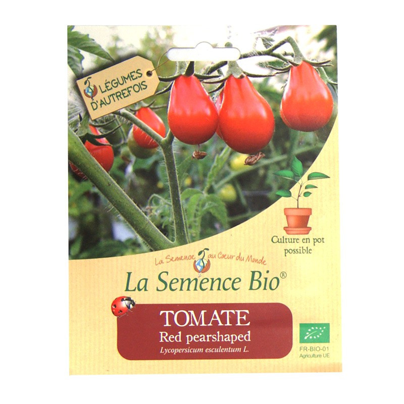 Organic Seeds - Red Pearshaped Tomato