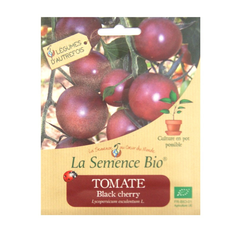 Graines Bio - Tomate Black Cherry