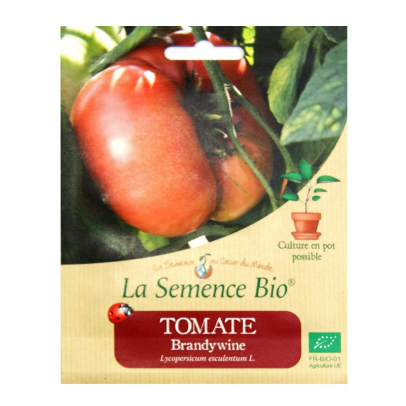 Sementes orgânicas - Brandywine de tomate