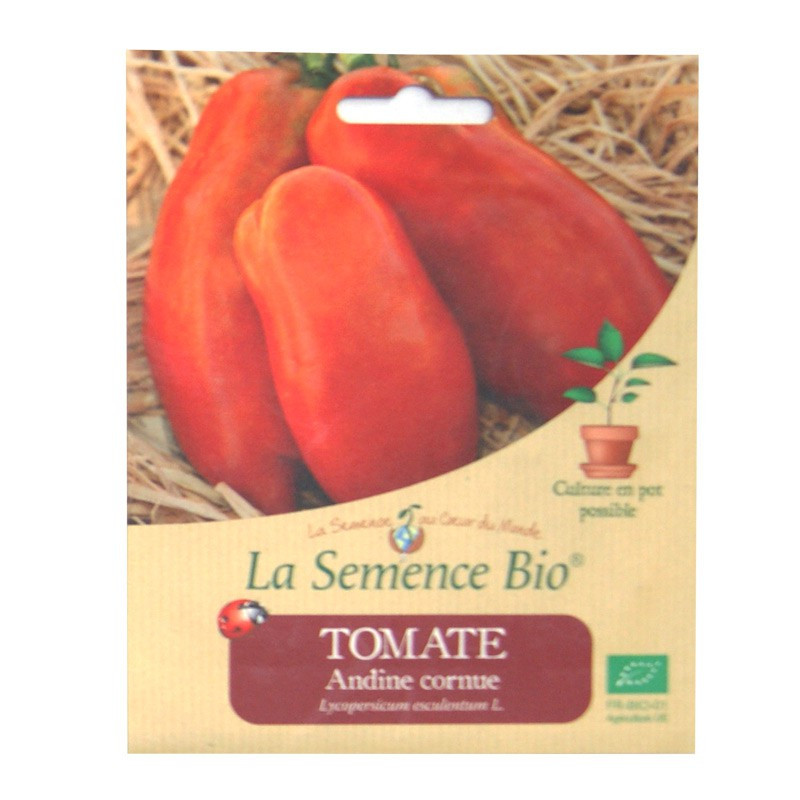 Graines Bio - Tomate Andine Cornue