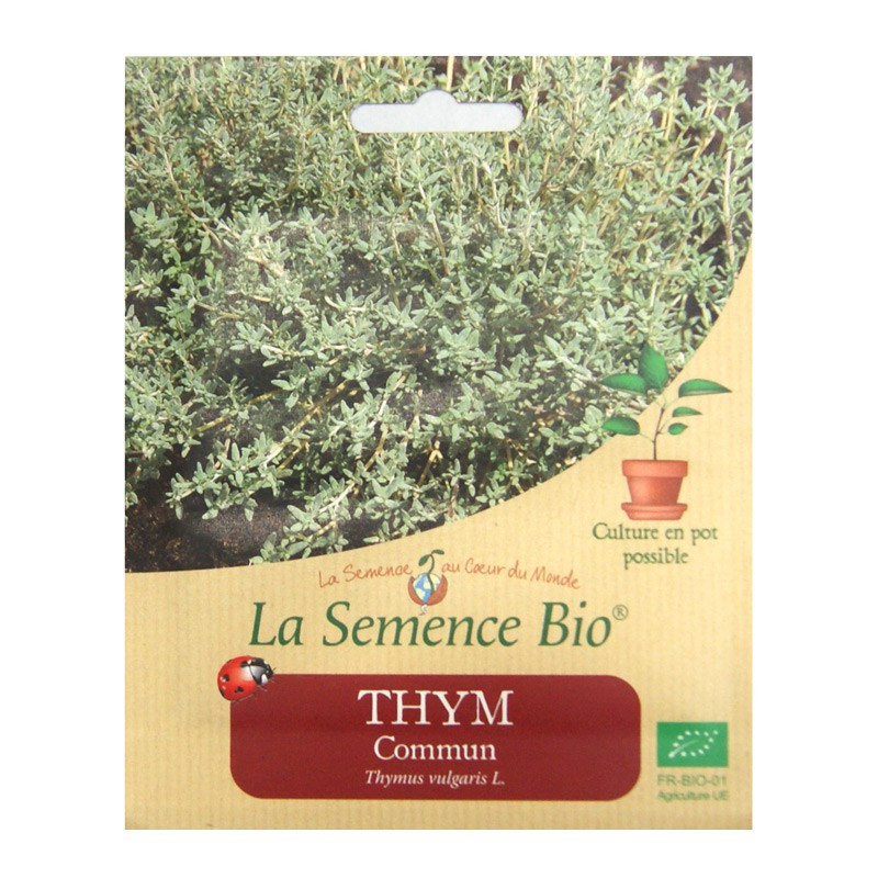 Organic Seeds - Common Thyme