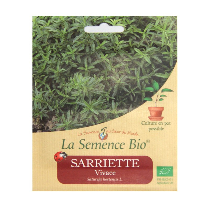 Organic Seeds - Sarriette Vivace