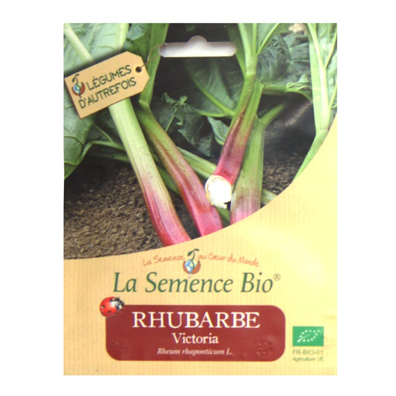 Organic Seeds - Rhubarb Victoria