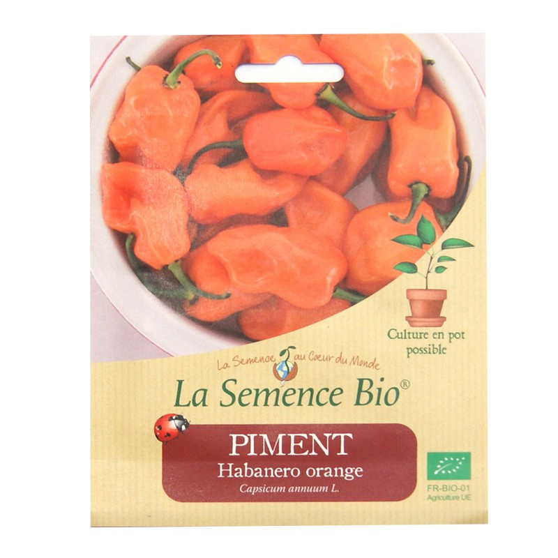 Organic Seeds - Habareno Orange Pepper