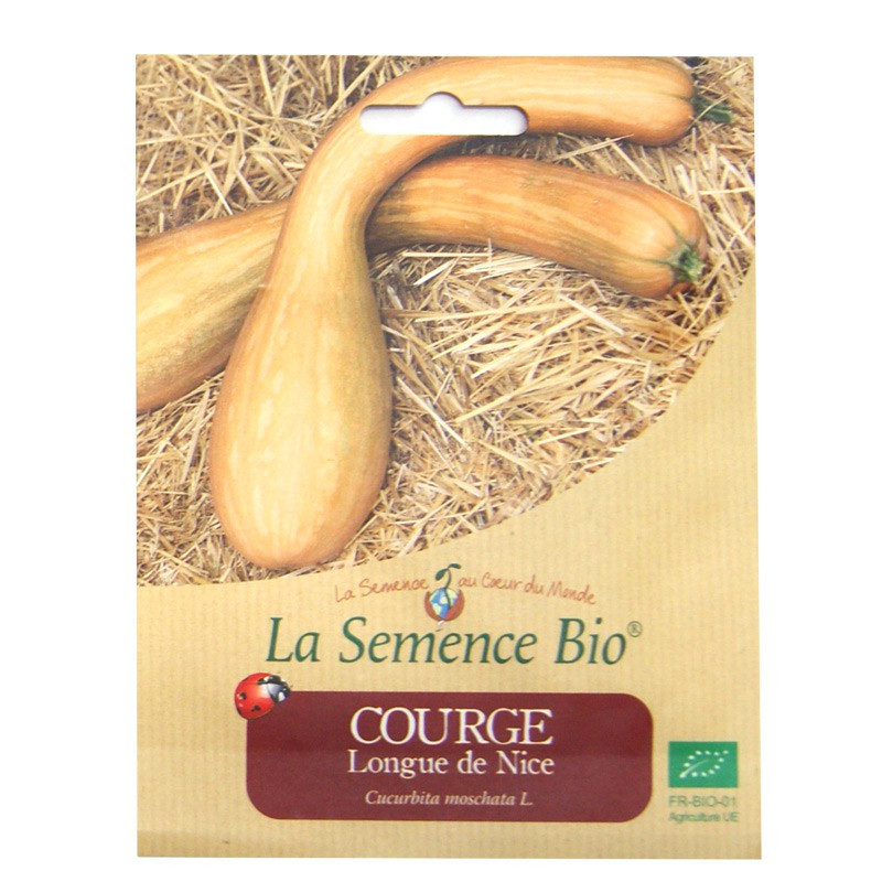 Graines Bio - Courge Longue De Nice (20 graines)
