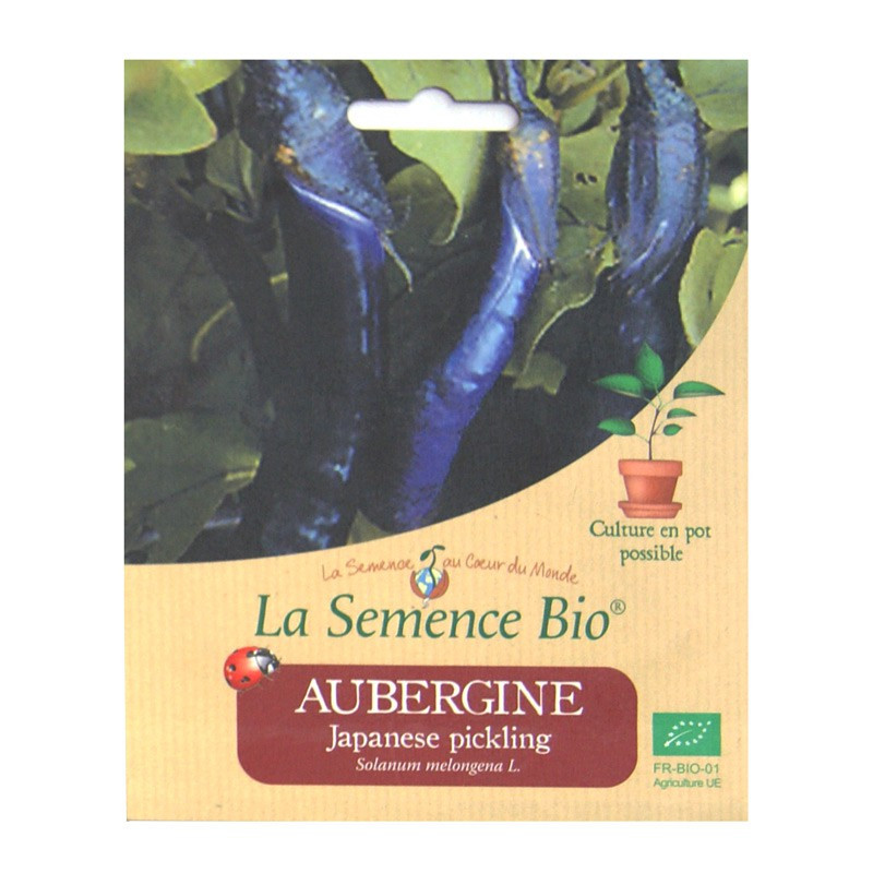 Bio Samen - Aubergine Japanese Pickling