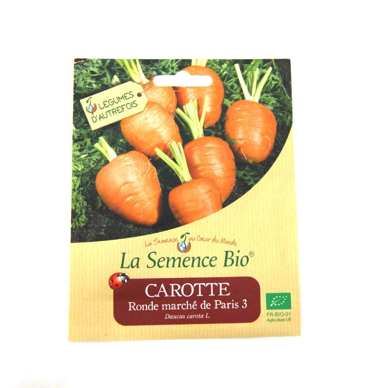 Sementes orgânicas - Cenoura Ronde Marche Ede Paris 3