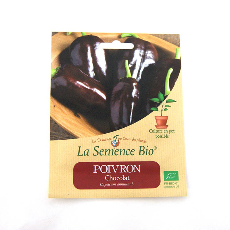 Sementes orgânicas - Corno Di Toro Chocolate pimenta