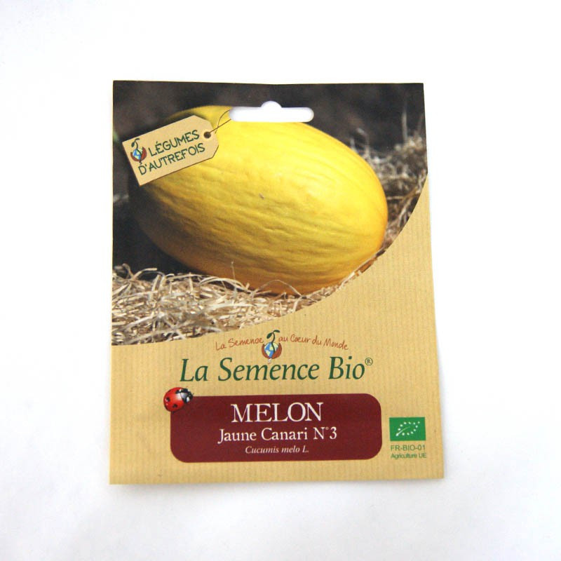 Sementes orgânicas - Melão amarelo canário n°3