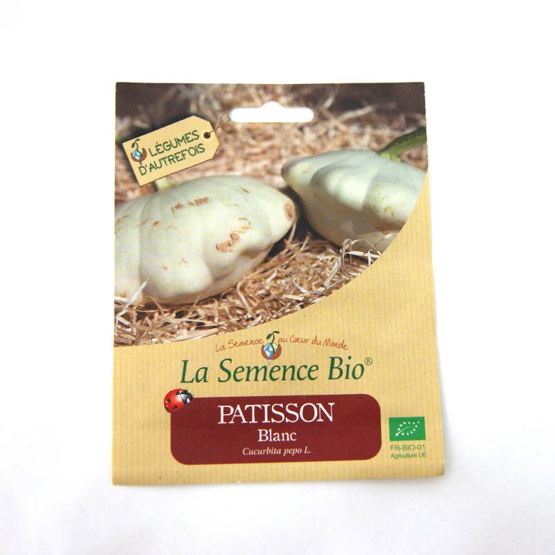 Sementes orgânicas - Patissons Blanc