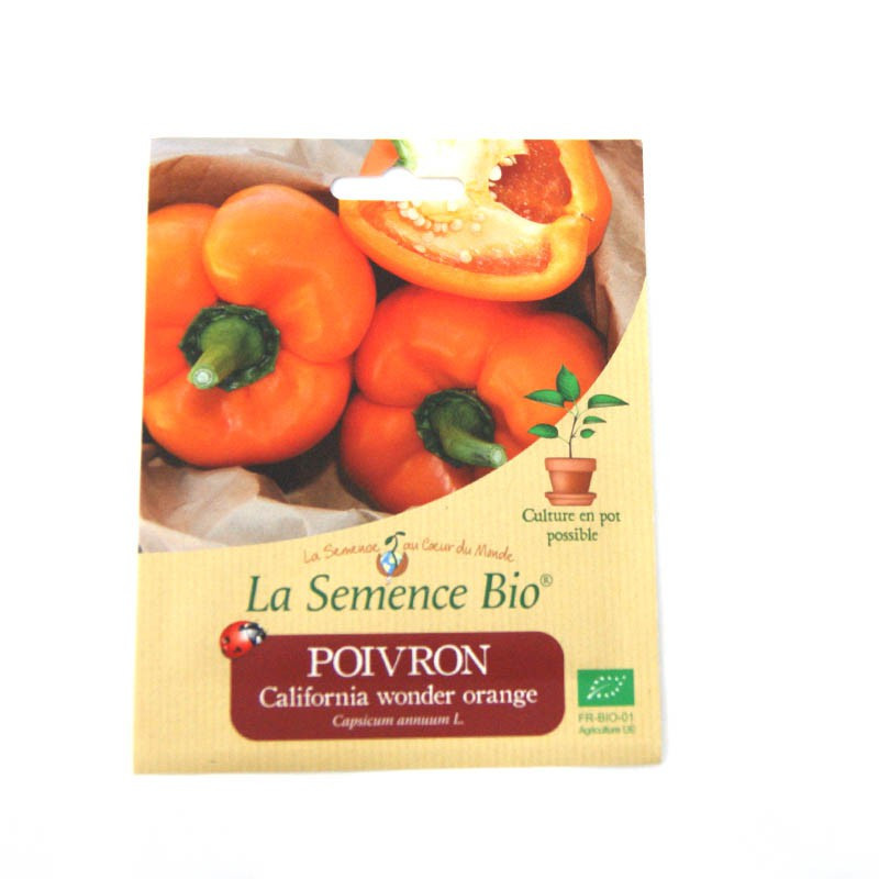Bio Samen - Paprika California Wonder Orange