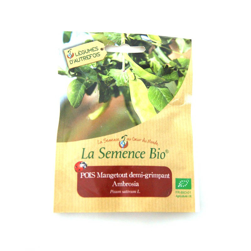Sementes orgânicas - Mangetout ervilhas Ambrosia