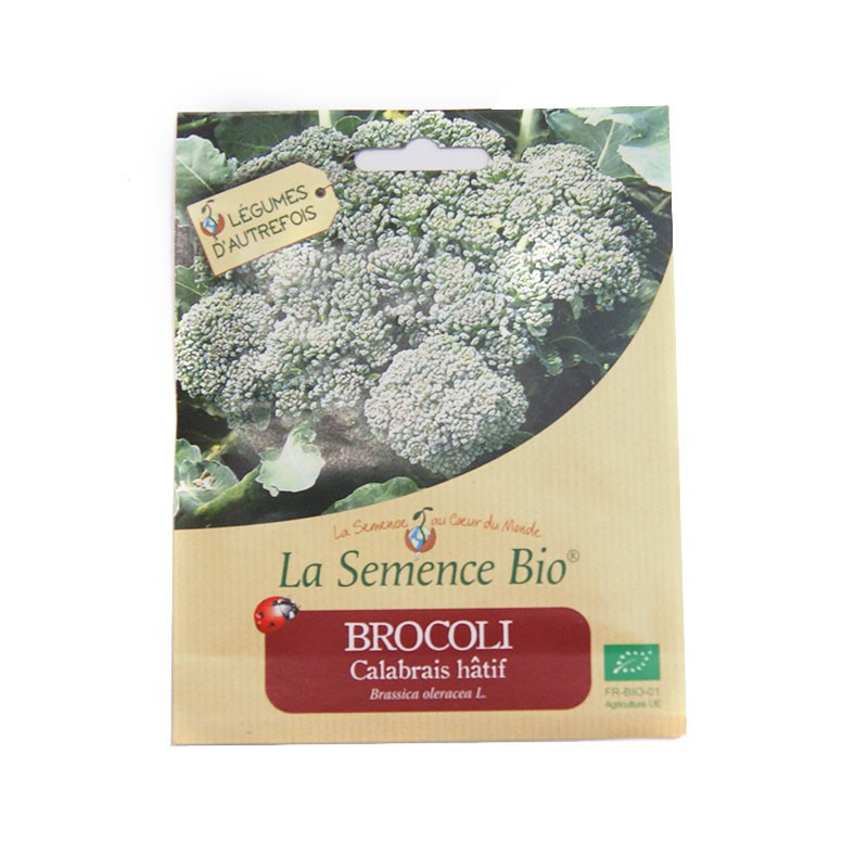 Sementes orgânicas - Brócolos Calabrese Hatif (100 sementes)
